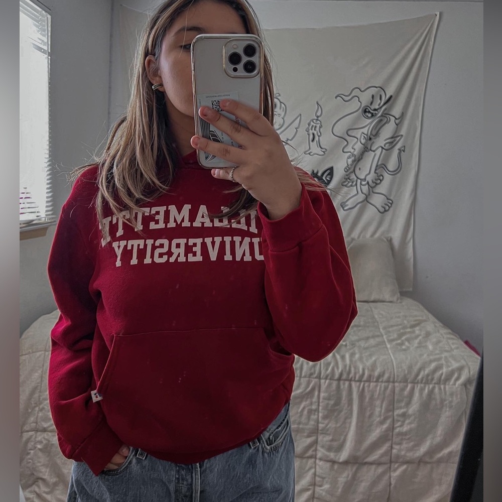Vintage Russell athletic Willamette university hoodie